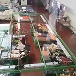 Campo De Oleandros 別荘 ロウリニャン