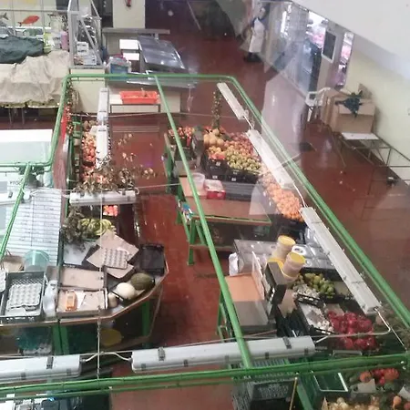 Campo De Oleandros Semesterbostad Lourinhã