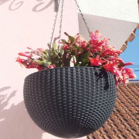 Semesterbostad Campo De Oleandros Lourinhã