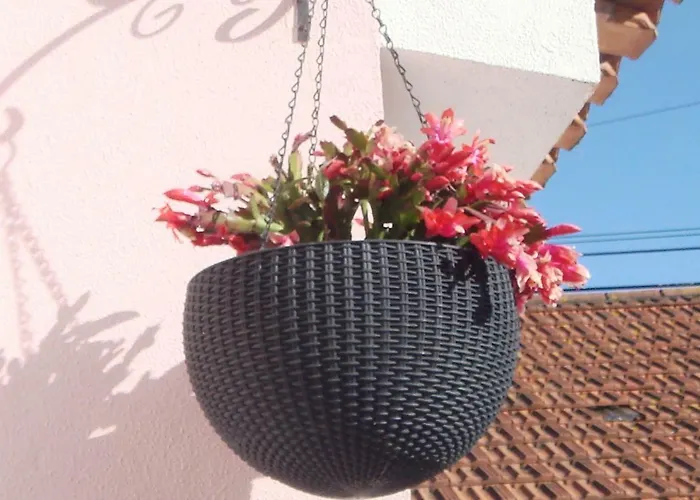 別荘 Campo De Oleandros ロウリニャン